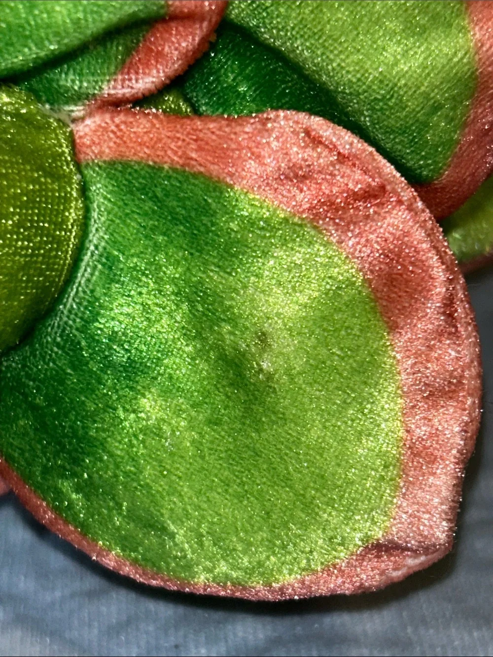 Russ Greenhouse Succulent Cactus Plush Potted Plant Jazzware